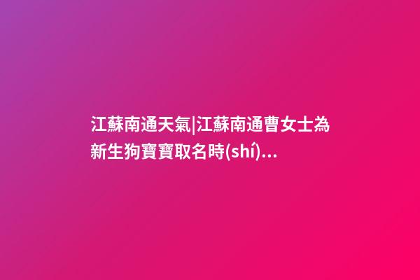 江蘇南通天氣|江蘇南通曹女士為新生狗寶寶取名時(shí)尚型套餐-第1張-公司起名-玄機(jī)派